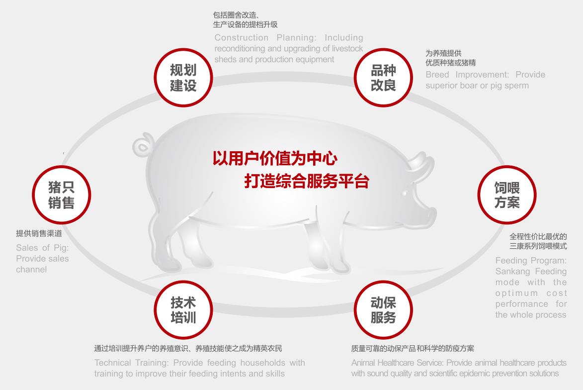 打造綜合養(yǎng)殖服務平臺